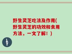 野生灵芝吃法及作用(野生灵芝的功效和食用方法，一文了解！)