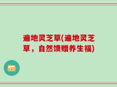 遍地灵芝草(遍地灵芝草，自然馈赠养生福)