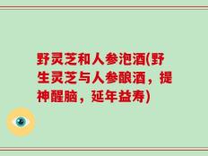 野灵芝和人参泡酒(野生灵芝与人参酿酒，提神醒脑，延年益寿)