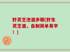 野灵芝泡酒步骤(野生灵芝酒，自制简单易学！)