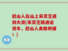 赶山人在山上采灵芝遇到大货(采灵芝路遇运货车，赶山人勇敢救援！)