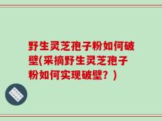 野生灵芝孢子粉如何破壁(采摘野生灵芝孢子粉如何实现破壁？)