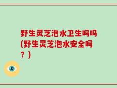 野生灵芝泡水卫生吗吗(野生灵芝泡水安全吗？)