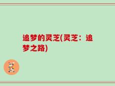 追梦的灵芝(灵芝：追梦之路)