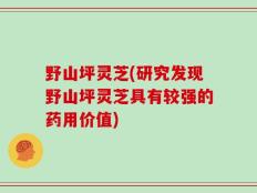 野山坪灵芝(研究发现野山坪灵芝具有较强的药用价值)