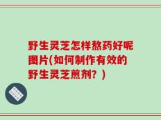 野生灵芝怎样熬药好呢图片(如何制作有效的野生灵芝煎剂？)