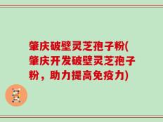 肇庆破壁灵芝孢子粉(肇庆开发破壁灵芝孢子粉，助力提高免疫力)