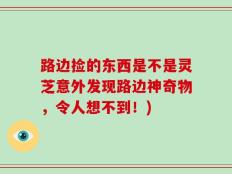 路边捡的东西是不是灵芝意外发现路边神奇物，令人想不到！)