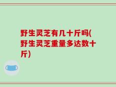 野生灵芝有几十斤吗(野生灵芝重量多达数十斤)
