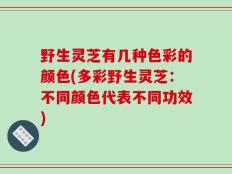 野生灵芝有几种色彩的颜色(多彩野生灵芝：不同颜色代表不同功效)
