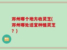 邓州哪个地方收灵芝(邓州哪处适宜种植灵芝？)