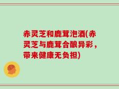 赤灵芝和鹿茸泡酒(赤灵芝与鹿茸合酿异彩，带来健康无负担)