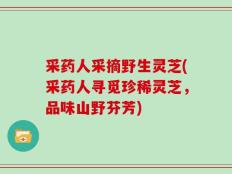 采药人采摘野生灵芝(采药人寻觅珍稀灵芝，品味山野芬芳)
