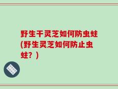 野生干灵芝如何防虫蛀(野生灵芝如何防止虫蛀？)