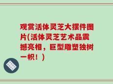 观赏活体灵芝大摆件图片(活体灵芝艺术品震撼亮相，巨型雕塑独树一帜！)