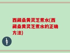 西藏桑黄灵芝煮水(西藏桑黄灵芝煮水的正确方法)
