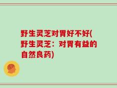 野生灵芝对胃好不好(野生灵芝：对胃有益的自然良药)
