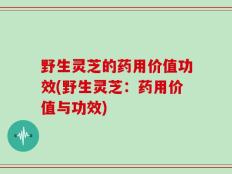 野生灵芝的药用价值功效(野生灵芝：药用价值与功效)
