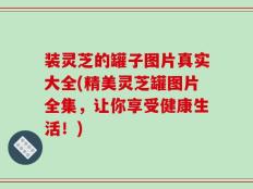 装灵芝的罐子图片真实大全(精美灵芝罐图片全集，让你享受健康生活！)