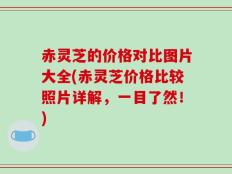 赤灵芝的价格对比图片大全(赤灵芝价格比较照片详解，一目了然！)