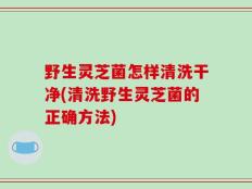 野生灵芝菌怎样清洗干净(清洗野生灵芝菌的正确方法)
