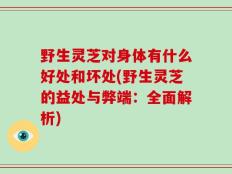 野生灵芝对身体有什么好处和坏处(野生灵芝的益处与弊端：全面解析)