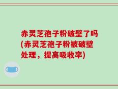 赤灵芝孢子粉破壁了吗(赤灵芝孢子粉被破壁处理，提高吸收率)