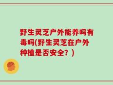 野生灵芝户外能养吗有毒吗(野生灵芝在户外种植是否安全？)