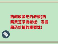 西藏收灵芝的老板(西藏灵芝采摘老板：发掘藏药价值的重要性)