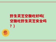 野生灵芝空腹吃好吗(空腹吃野生灵芝安全吗？)