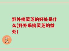 野外摘灵芝的好处是什么(野外采摘灵芝的益处)