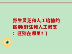 野生灵芝和人工培植的区别(野生和人工灵芝：区别在哪里？)