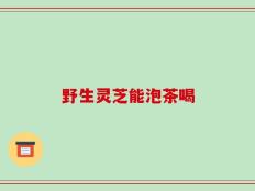 野生灵芝能泡茶喝