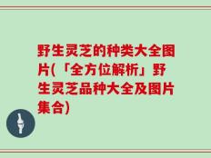 野生灵芝的种类大全图片(「全方位解析」野生灵芝品种大全及图片集合)