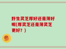 野生灵芝厚好还是薄好呢(厚灵芝还是薄灵芝更好？)