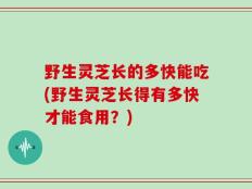 野生灵芝长的多快能吃(野生灵芝长得有多快才能食用？)
