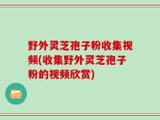 野外灵芝孢子粉收集视频(收集野外灵芝孢子粉的视频欣赏)