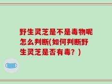 野生灵芝是不是毒物呢怎么判断(如何判断野生灵芝是否有毒？)