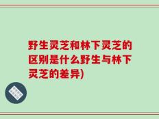 野生灵芝和林下灵芝的区别是什么野生与林下灵芝的差异)