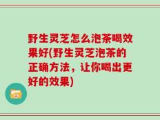 野生灵芝怎么泡茶喝效果好(野生灵芝泡茶的正确方法，让你喝出更好的效果)
