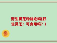 野生灵芝种能吃吗(野生灵芝：可食用吗？)