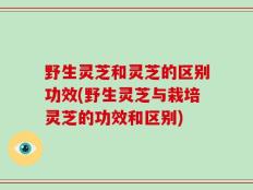 野生灵芝和灵芝的区别功效(野生灵芝与栽培灵芝的功效和区别)