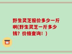 野生灵芝报价多少一斤啊(野生灵芝一斤多少钱？价格查询！)