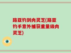 路亚钓到肉灵芝(路亚钓手意外捕获重量级肉灵芝)