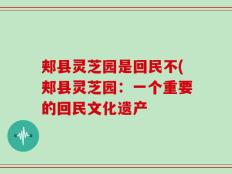 郏县灵芝园是回民不(郏县灵芝园：一个重要的回民文化遗产
