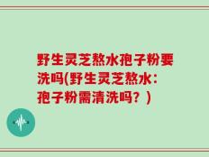 野生灵芝熬水孢子粉要洗吗(野生灵芝熬水：孢子粉需清洗吗？)