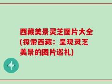 西藏美景灵芝图片大全(探索西藏：呈现灵芝美景的图片巡礼)