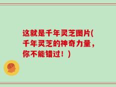 这就是千年灵芝图片(千年灵芝的神奇力量，你不能错过！)