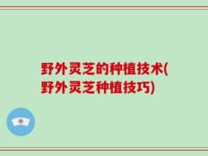 野外灵芝的种植技术(野外灵芝种植技巧)