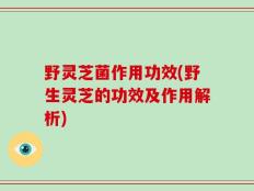 野灵芝菌作用功效(野生灵芝的功效及作用解析)